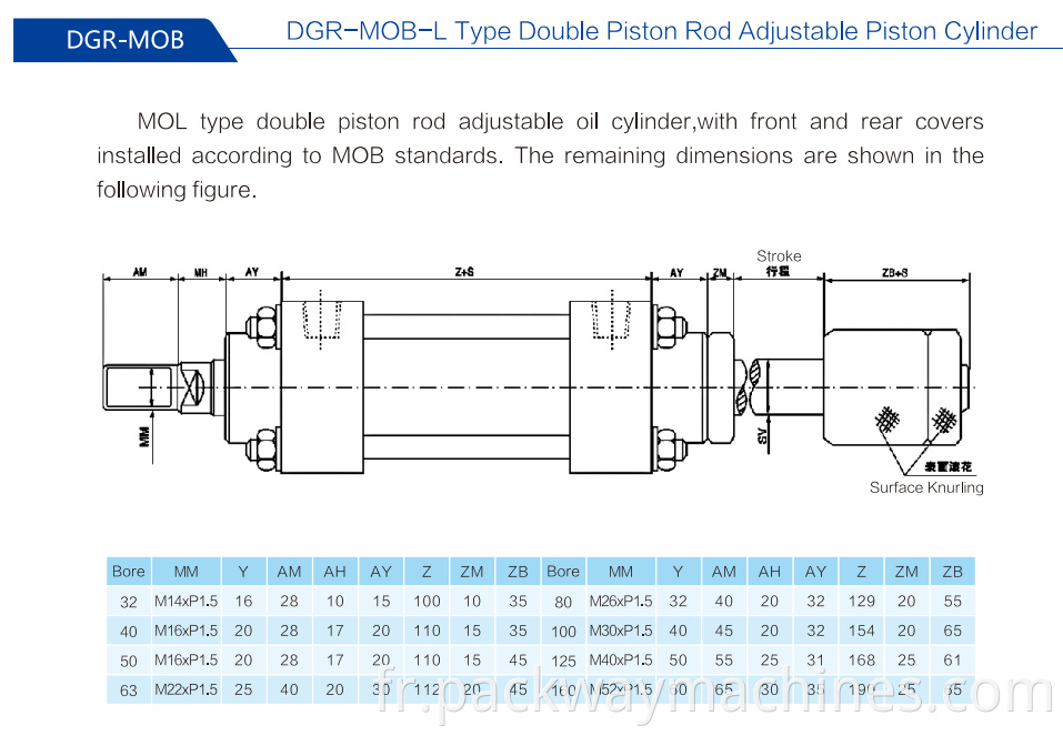 10dgr Mob L Type Double Piston Rod Adjustable Piston Cylinder